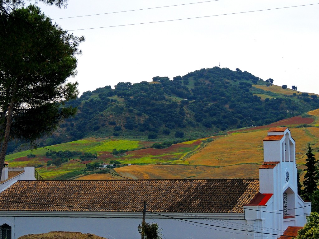 Foto de Montecorto (Málaga), España