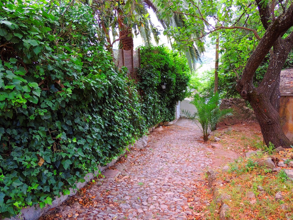 Foto de Montecorto (Málaga), España