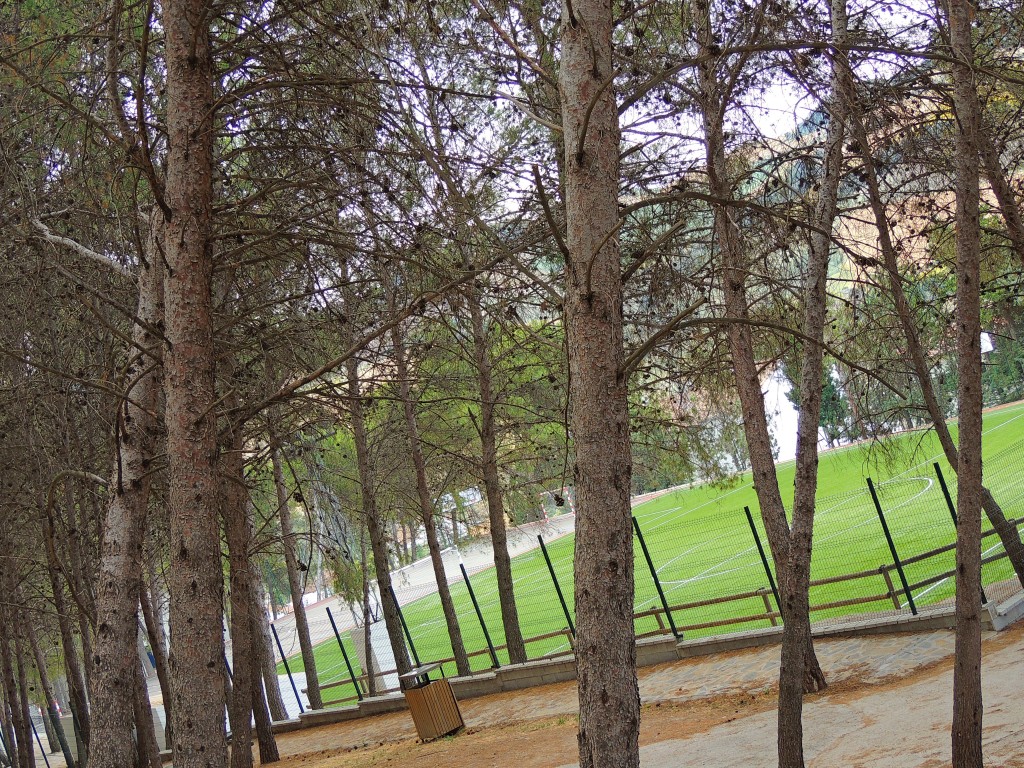 Foto de Montecorto (Málaga), España