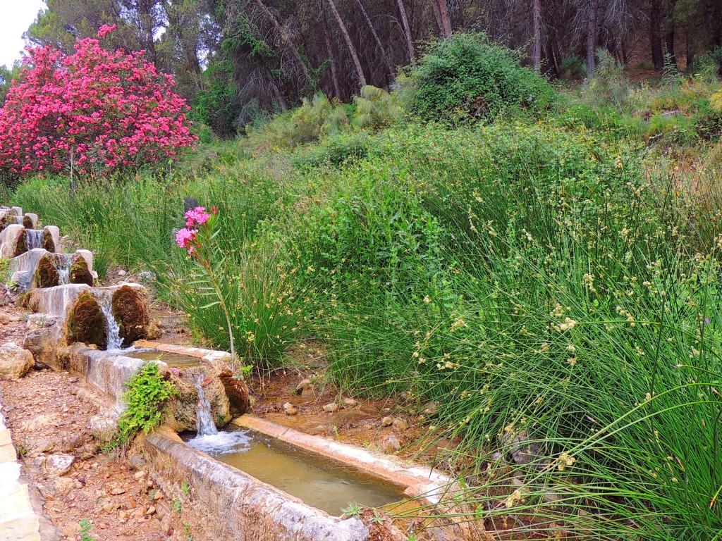 Foto de Montecorto (Málaga), España