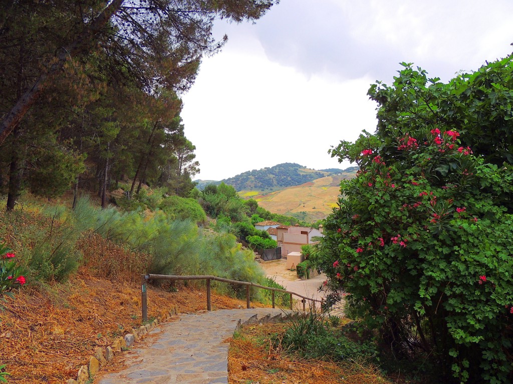 Foto de Montecorto (Málaga), España