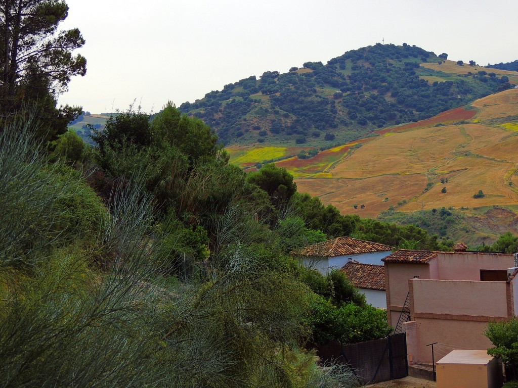 Foto de Montecorto (Málaga), España