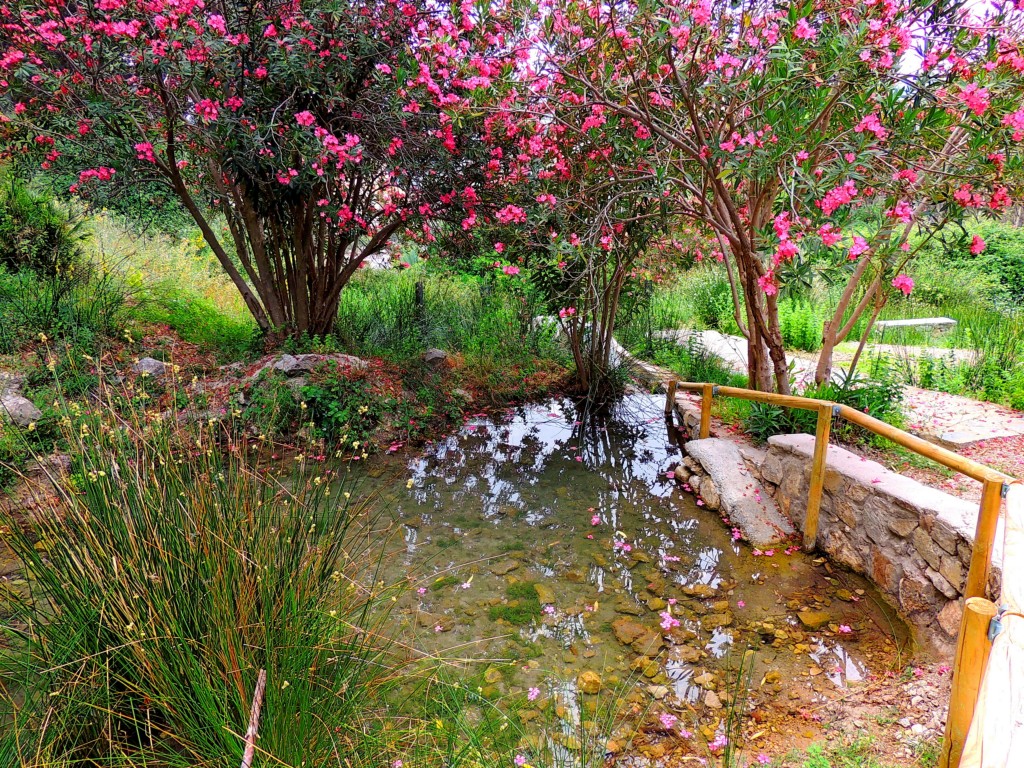 Foto de Montecorto (Málaga), España