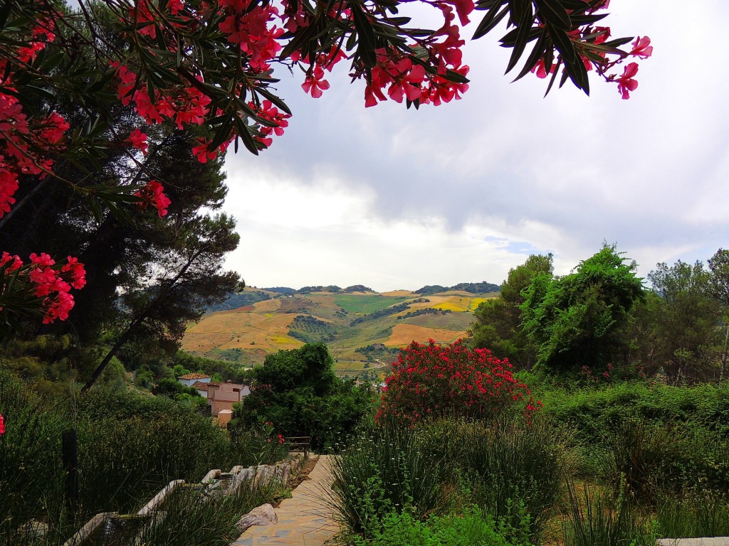 Foto de Montecorto (Málaga), España