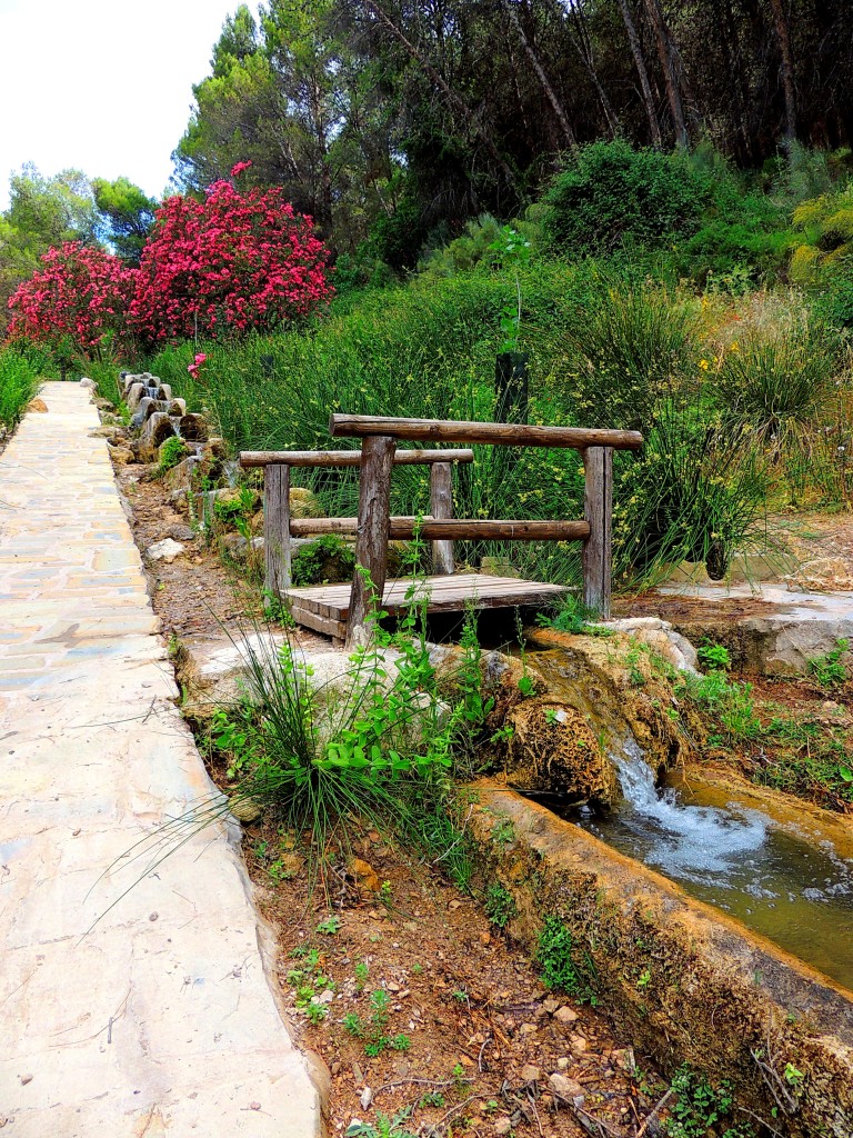 Foto de Montecorto (Málaga), España