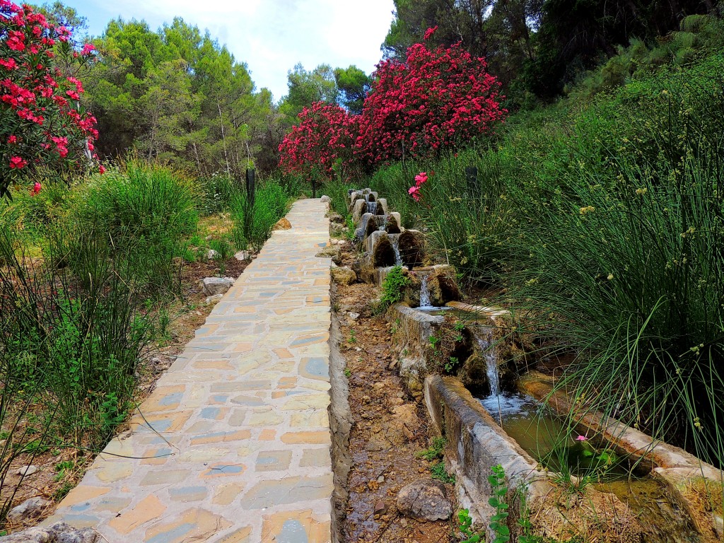 Foto de Montecorto (Málaga), España