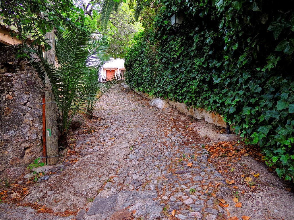 Foto de Montecorto (Málaga), España