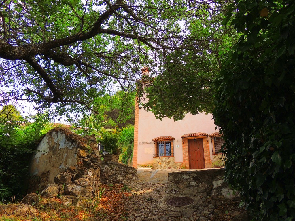 Foto: Casa Rural El Nacimiento - Montecorto (Málaga), España