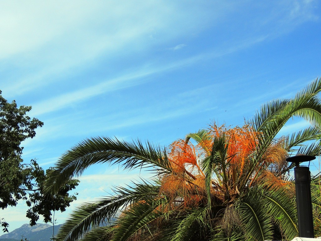 Foto de Montecorto (Málaga), España