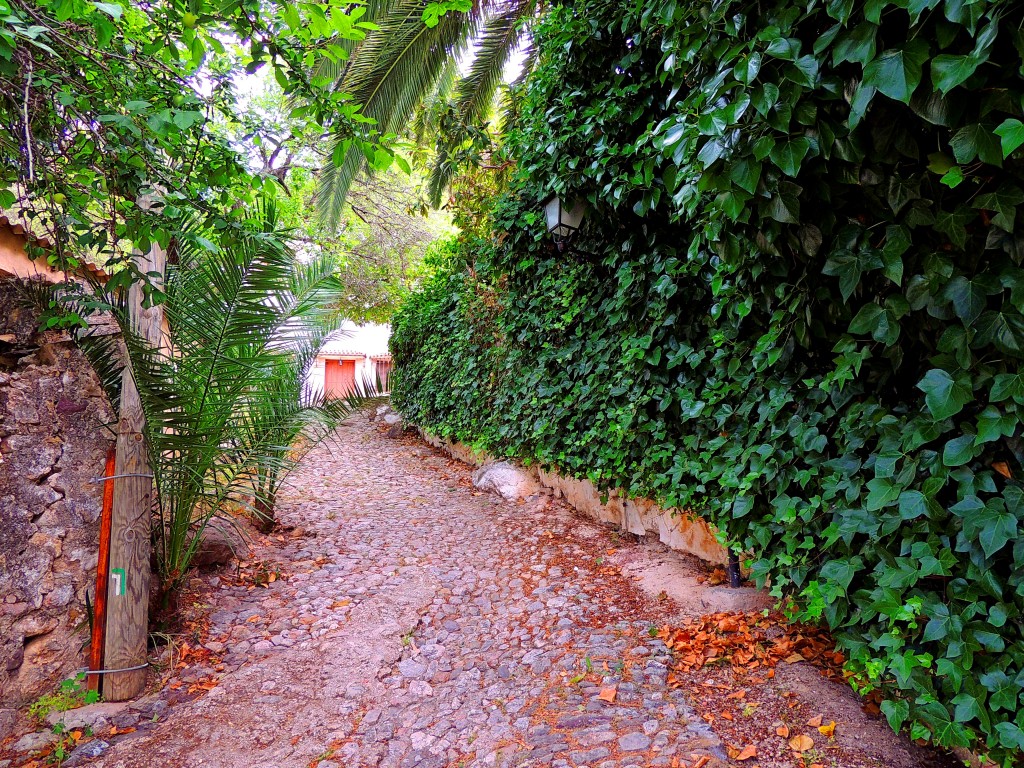 Foto de Montecorto (Málaga), España