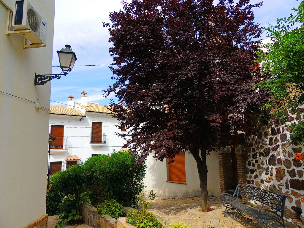 Foto de Montecorto (Málaga), España