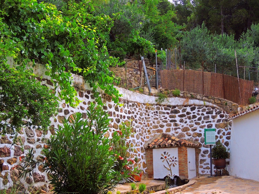 Foto: El Nacimiento - Montecorto (Málaga), España