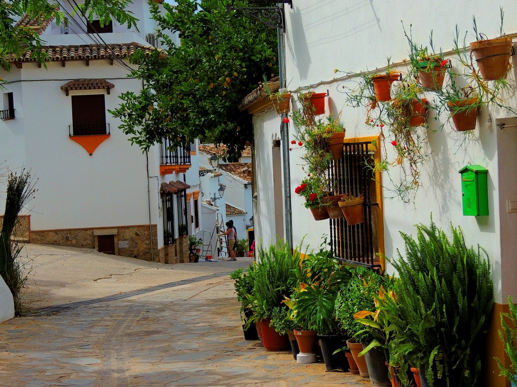 Foto de Montecorto (Málaga), España