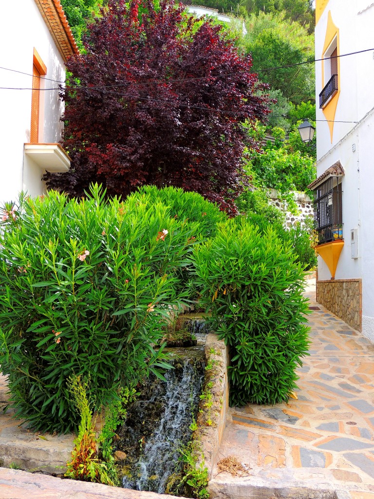 Foto de Montecorto (Málaga), España