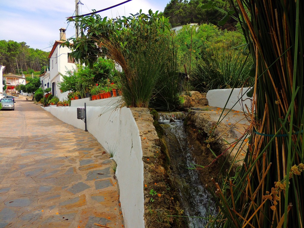 Foto de Montecorto (Málaga), España