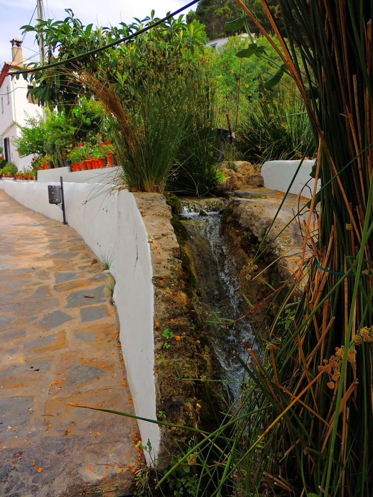 Foto de Montecorto (Málaga), España