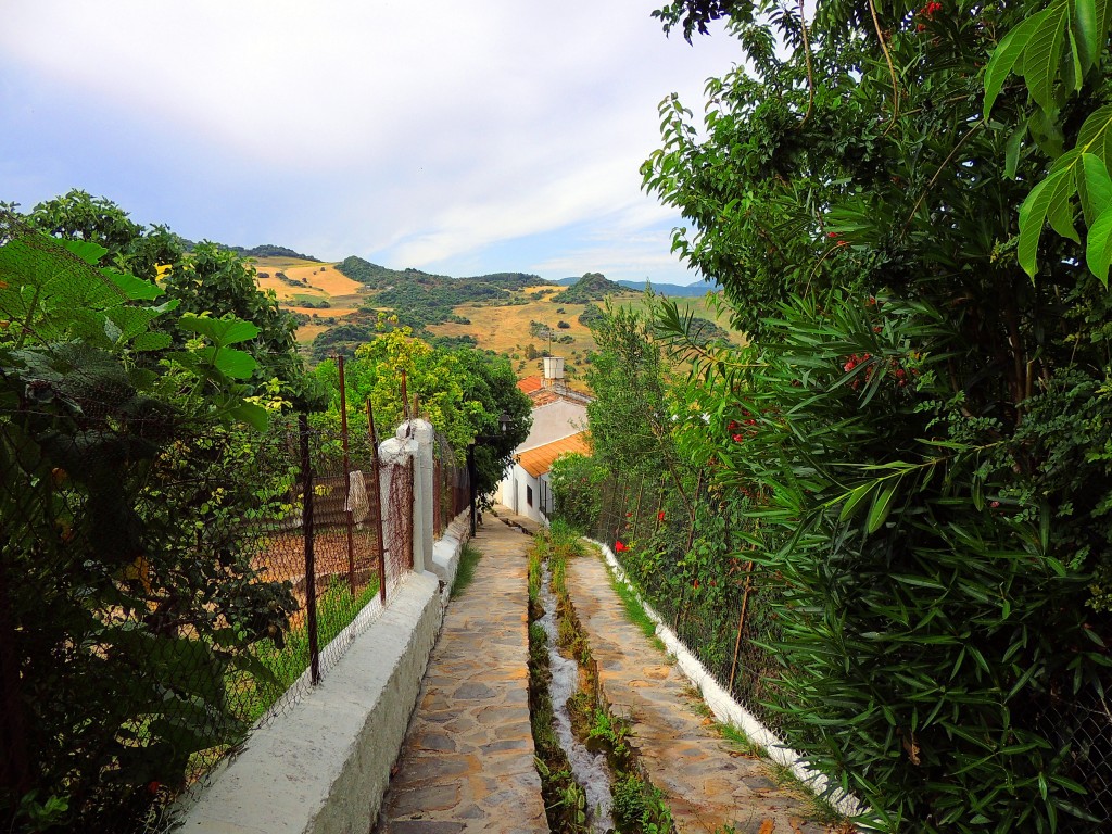 Foto de Montecorto (Málaga), España