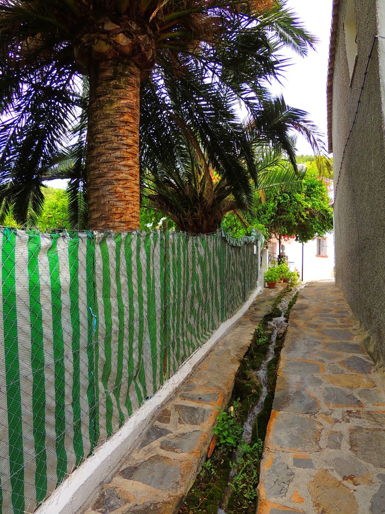 Foto de Montecorto (Málaga), España