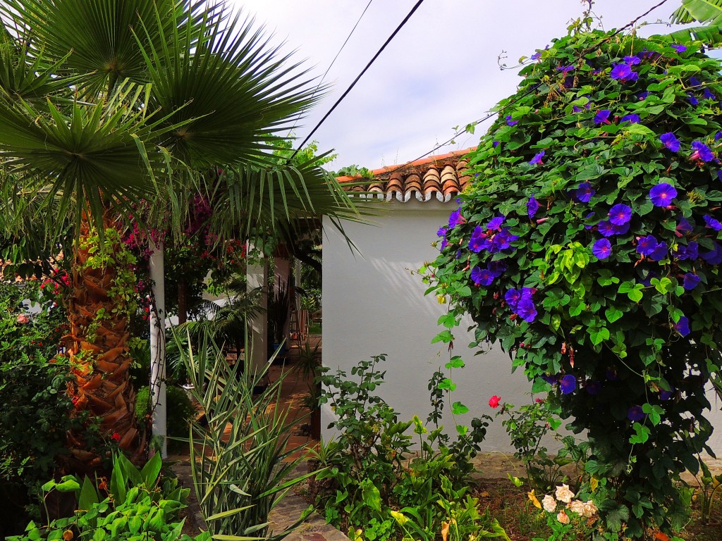 Foto de Montecorto (Málaga), España