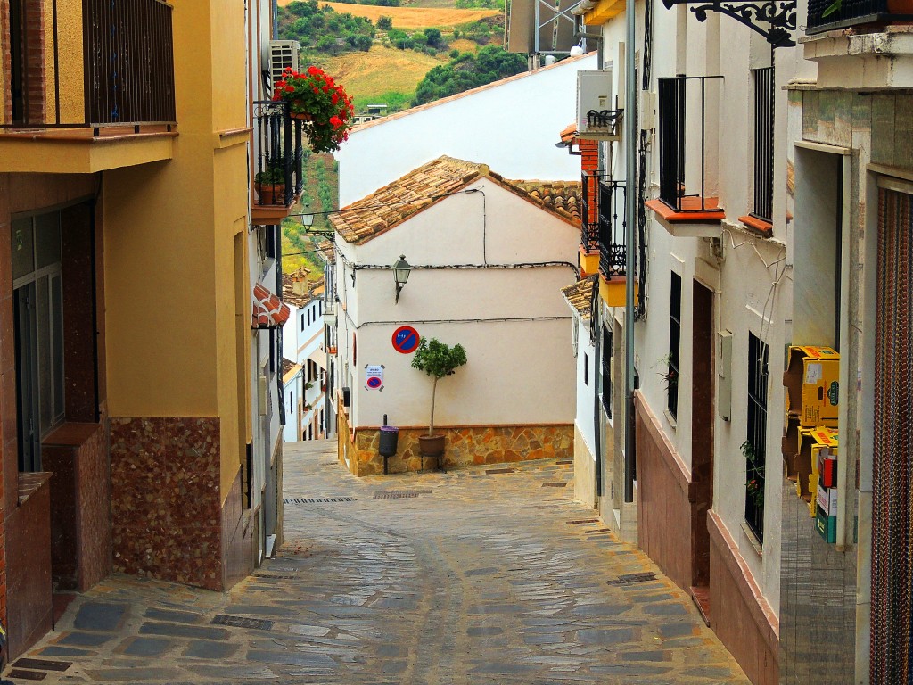 Foto: Calle Molino - Montecorto (Málaga), España