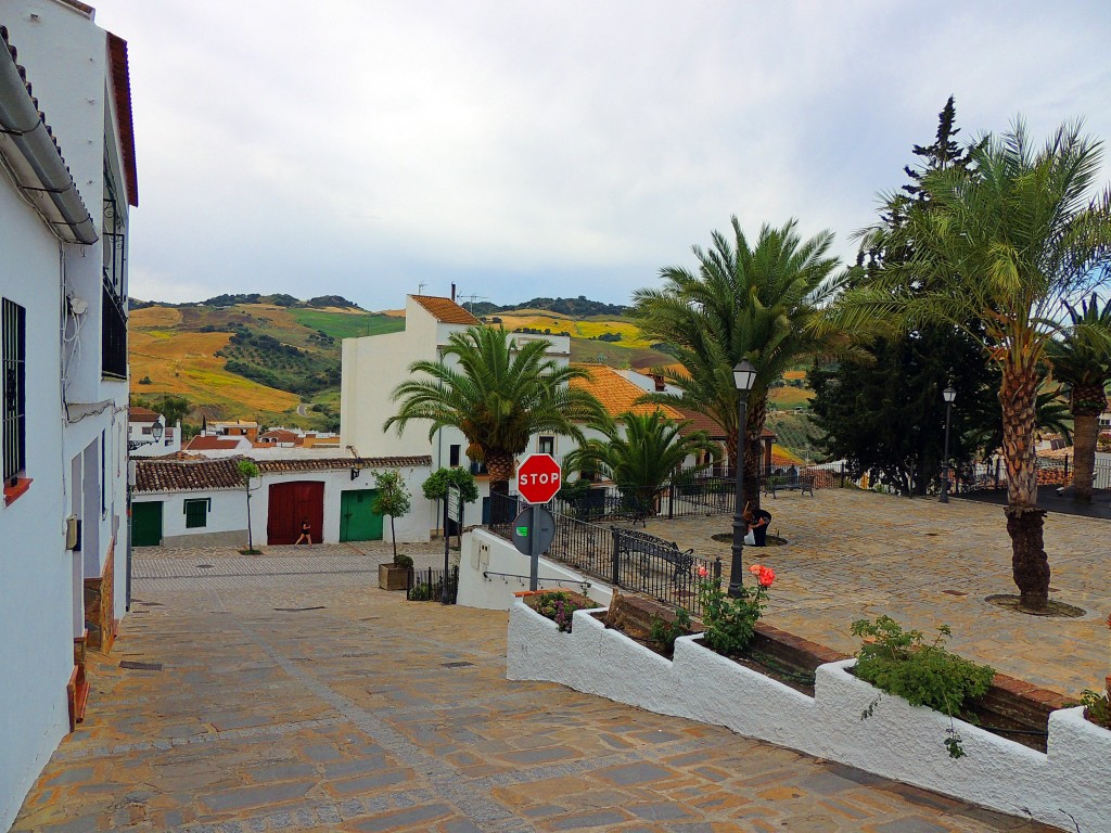 Foto: Calle Montaur - Montecorto (Málaga), España