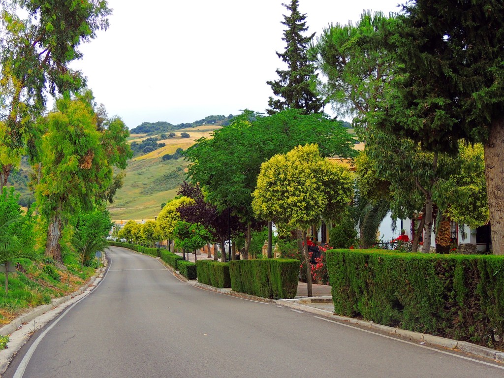 Foto: Avenida de la Constitución - Montecorto (Málaga), España