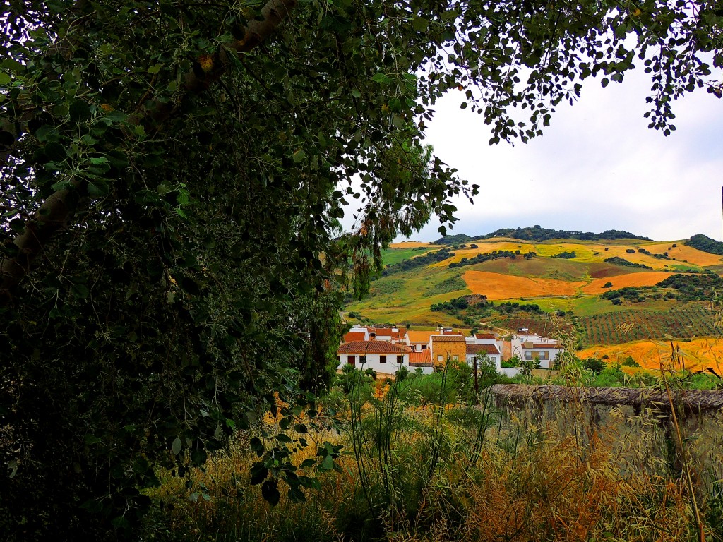 Foto de Montecorto (Málaga), España