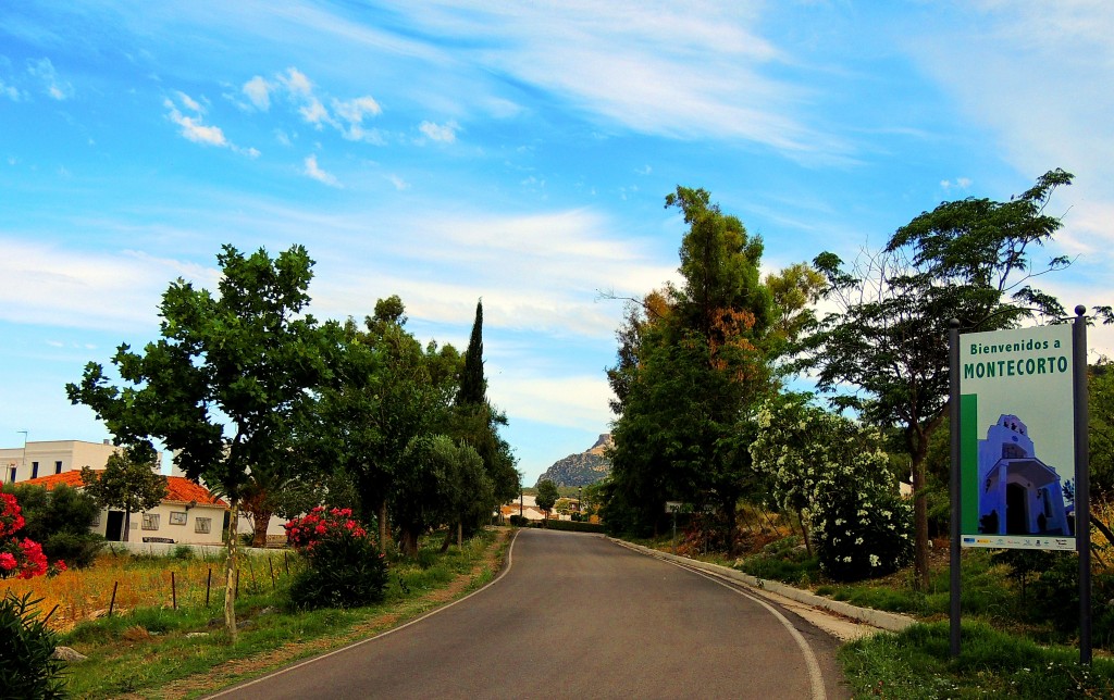 Foto: Bienvenida - Montecorto (Málaga), España