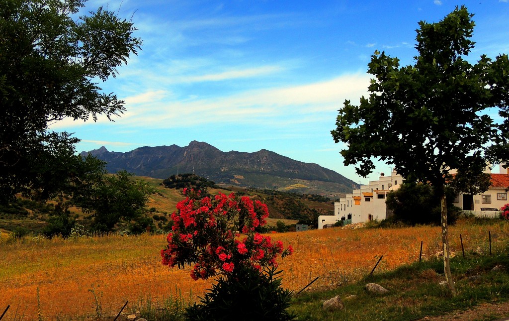 Foto de Montecorto (Málaga), España