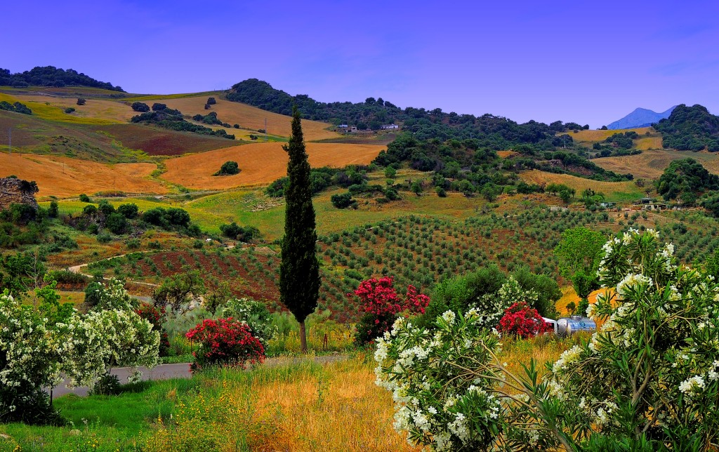 Foto de Montecorto (Málaga), España