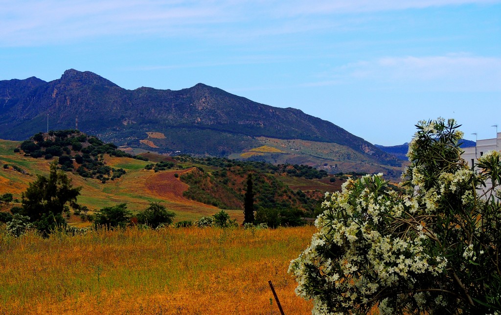 Foto de Montecorto (Málaga), España