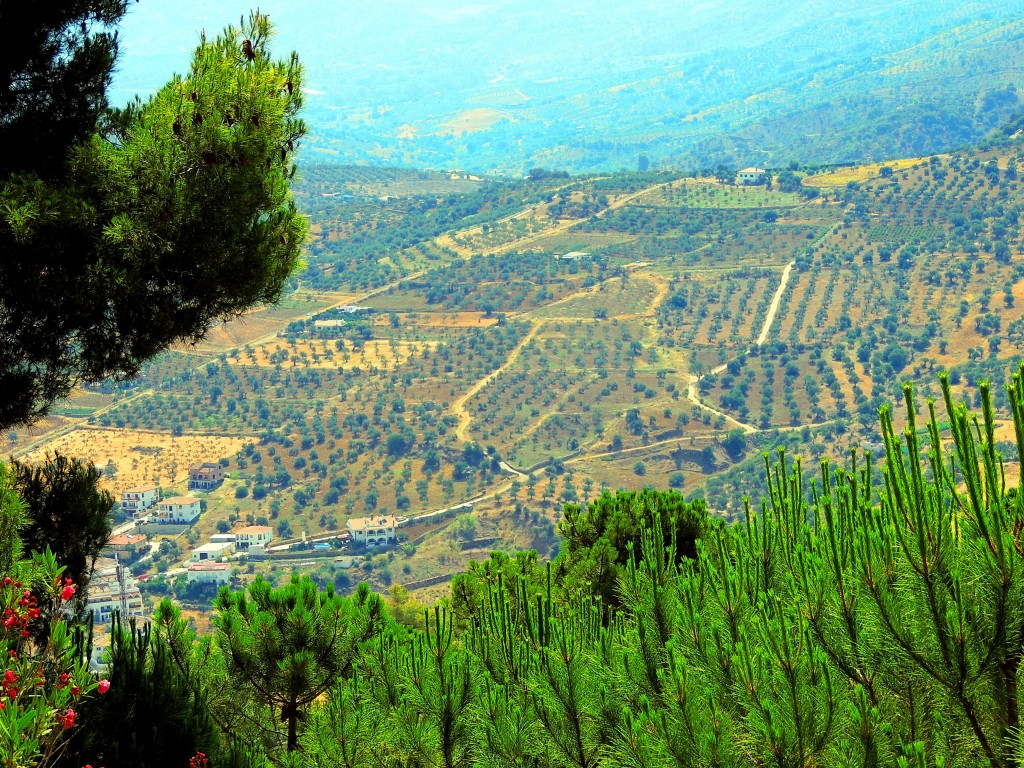 Foto de Tolox (Málaga), España