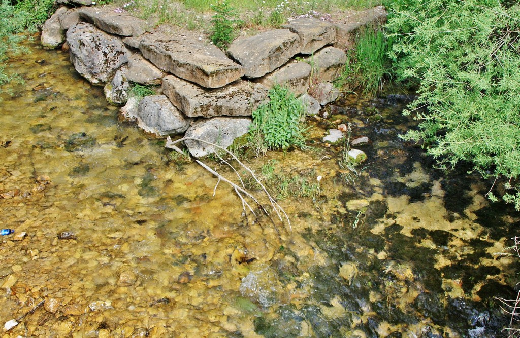 Foto: Rio Cardener - La Coma (Lleida), España