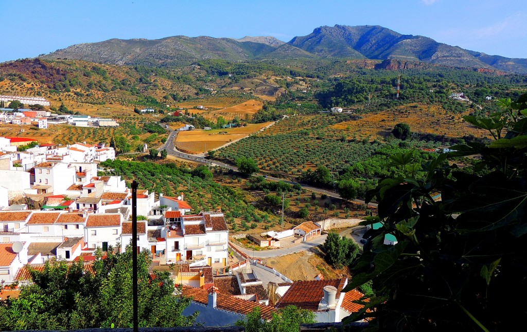 Foto: Carretera de Coín - Alozaina (Málaga), España