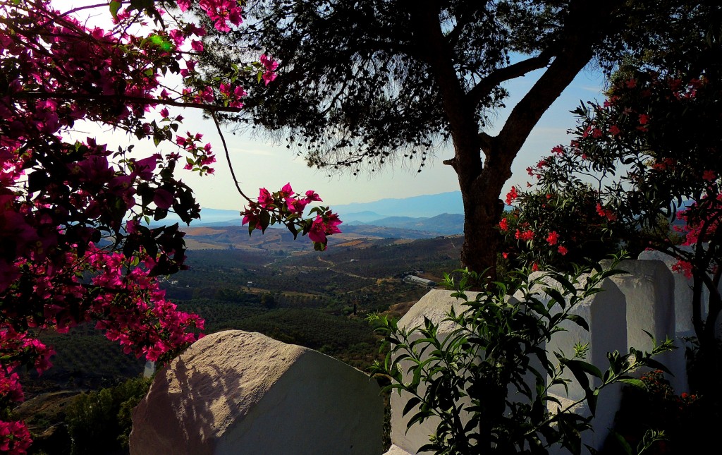 Foto: Vistas desde el Parque María Sagre - Alozaina (Málaga), España