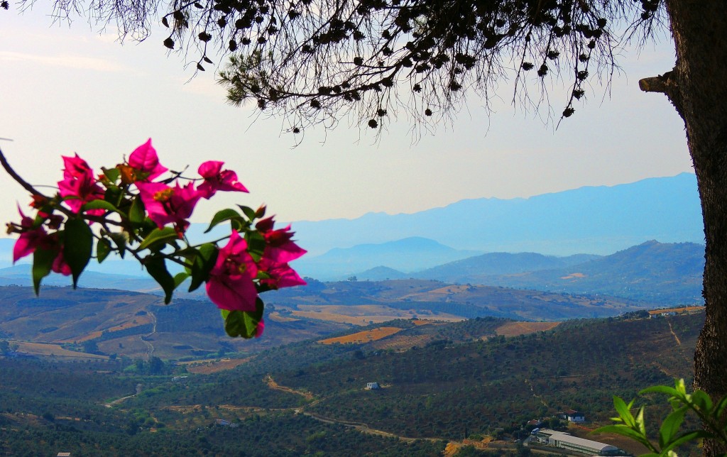 Foto: Vistas desde el Parque María Sagre - Alozaina (Málaga), España