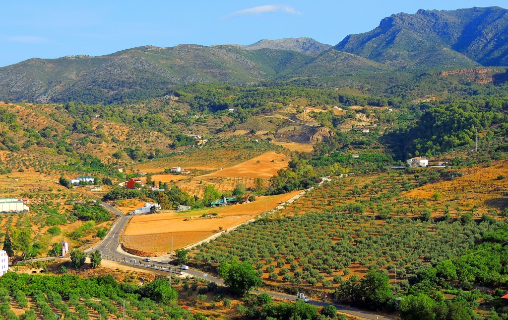 Foto: Carretera a Coín - Alozaina (Málaga), España