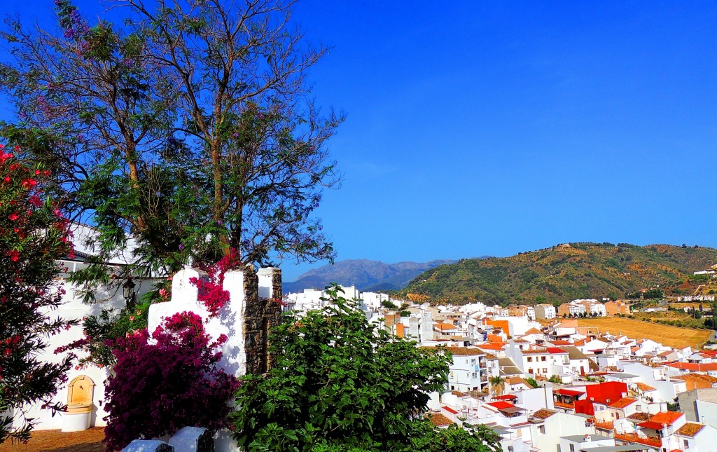 Foto: Postal - Alozaina (Málaga), España