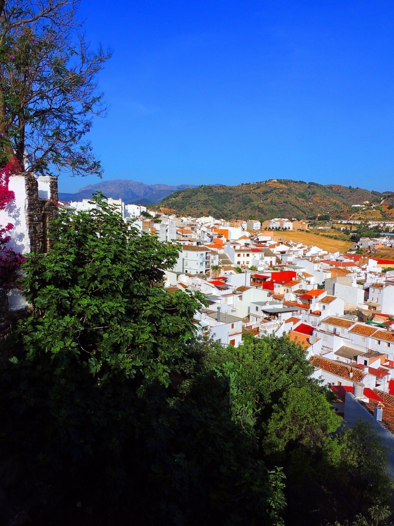 Foto: Vistas - Alozaina (Málaga), España