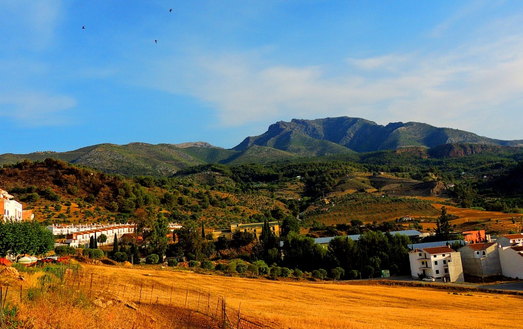 Foto: Desde Terrero - Alozaina (Málaga), España