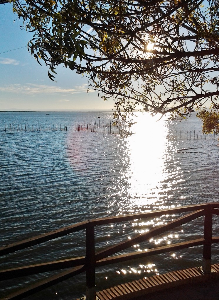 Foto: Albufera - València (Comunidad Valenciana), España