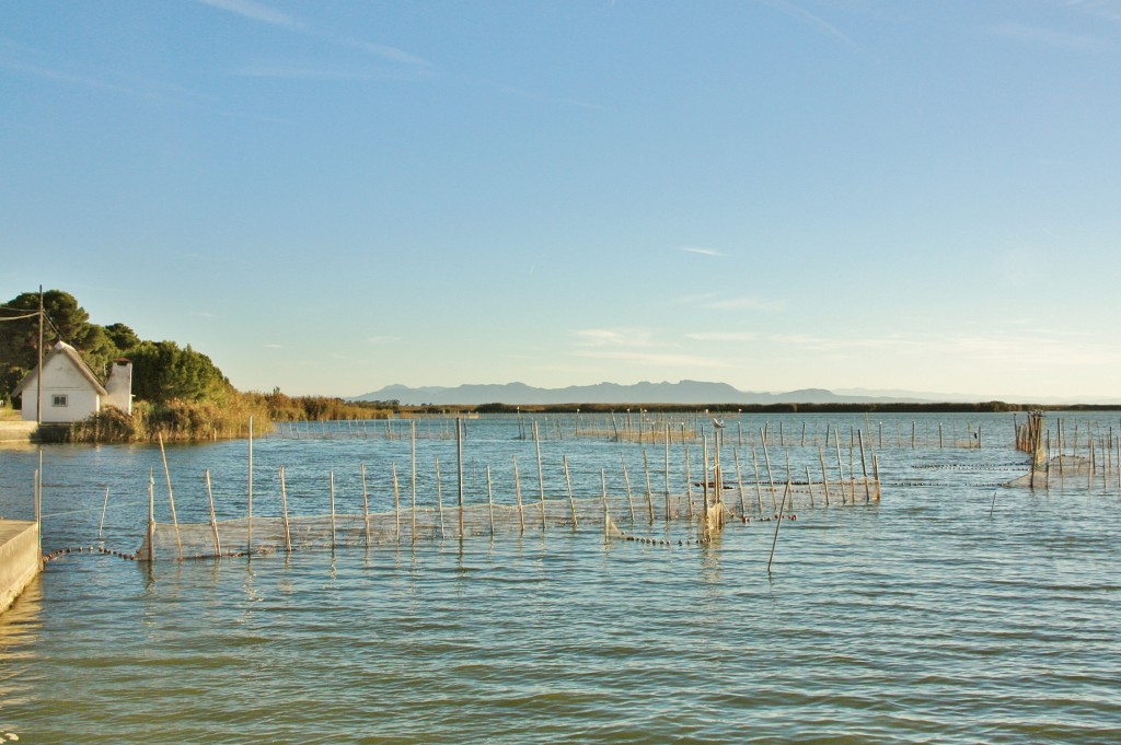 Foto: Albufera - València (Comunidad Valenciana), España