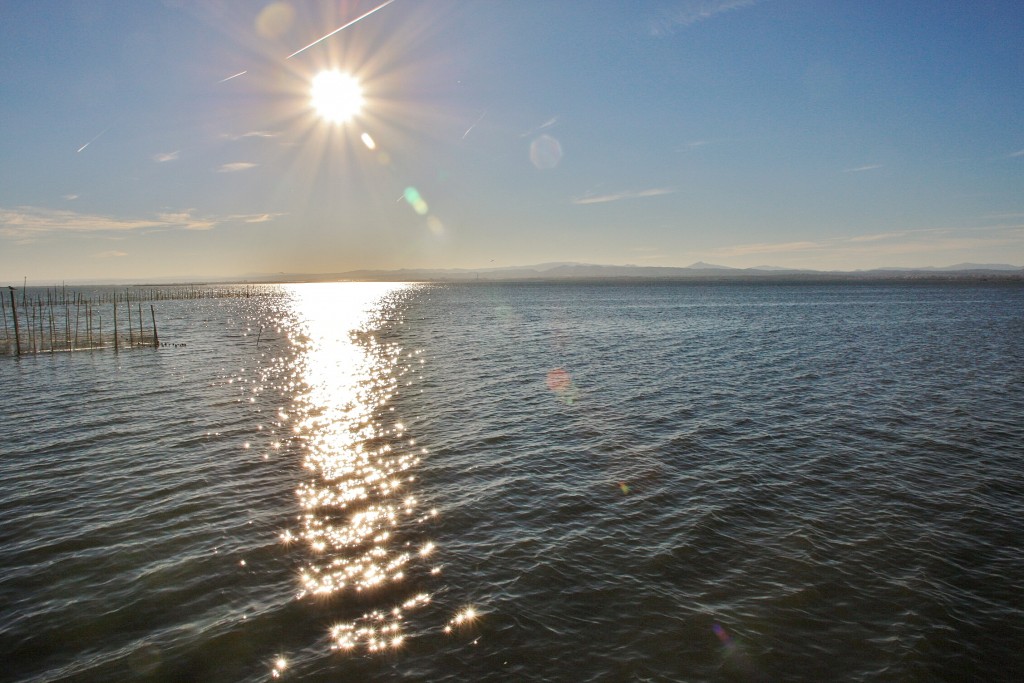 Foto: Albufera - València (Comunidad Valenciana), España