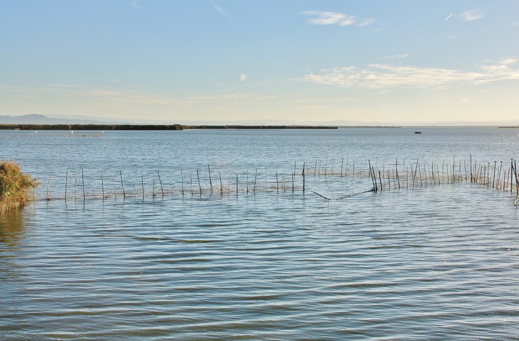 Foto: Albufera - València (Comunidad Valenciana), España