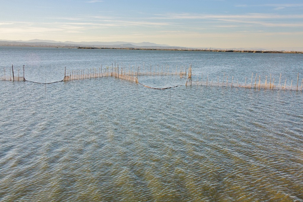 Foto: Albufera - València (Comunidad Valenciana), España