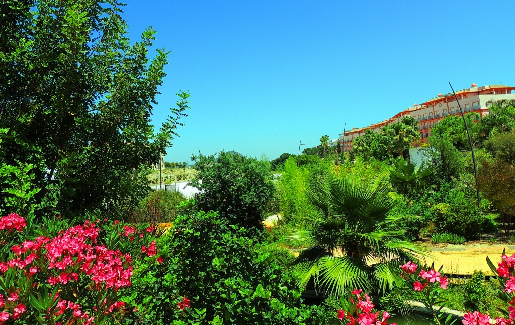 Foto: Jardines Avdª Rey Juan Carlos - Coín (Málaga), España