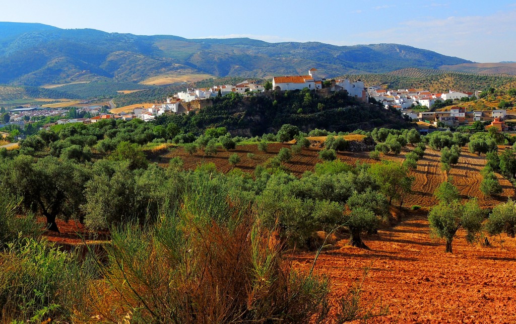 Foto: Campos de El Burgo - El Burgo (Málaga), España