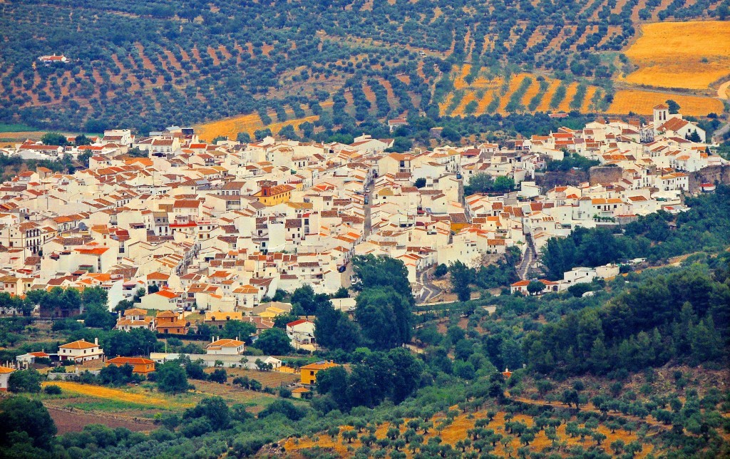 Foto: Panorámica - El Burgo (Málaga), España