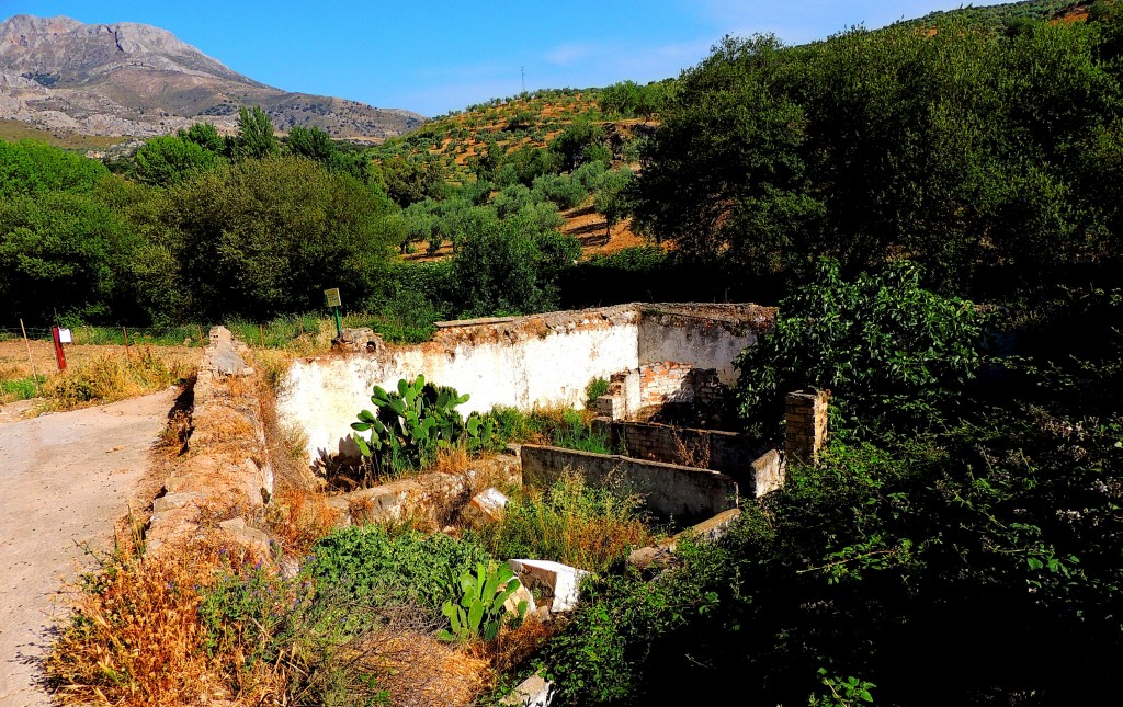 Foto: Antiguo Molino - El Burgo (Málaga), España