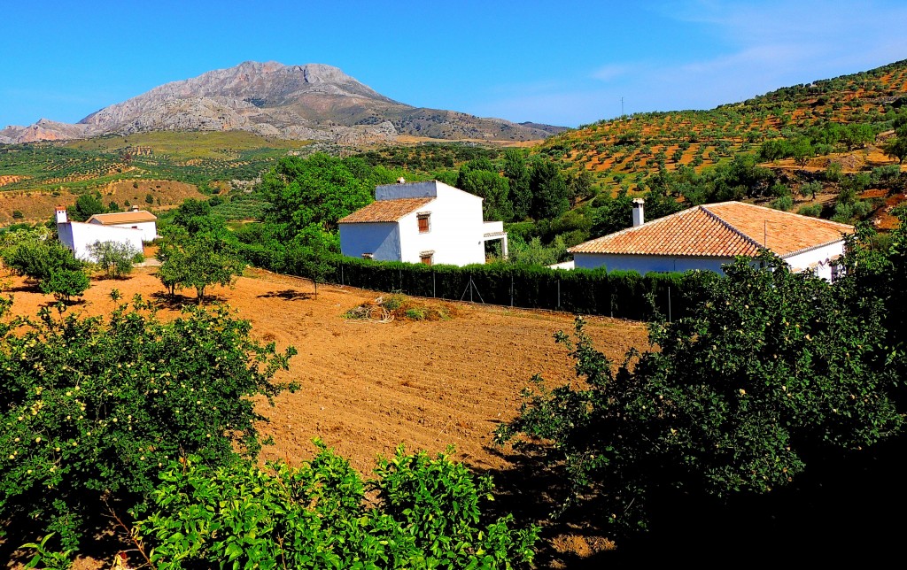 Foto: Alojamiento Rural - El Burgo (Málaga), España